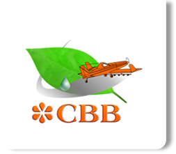 Logo CBB 